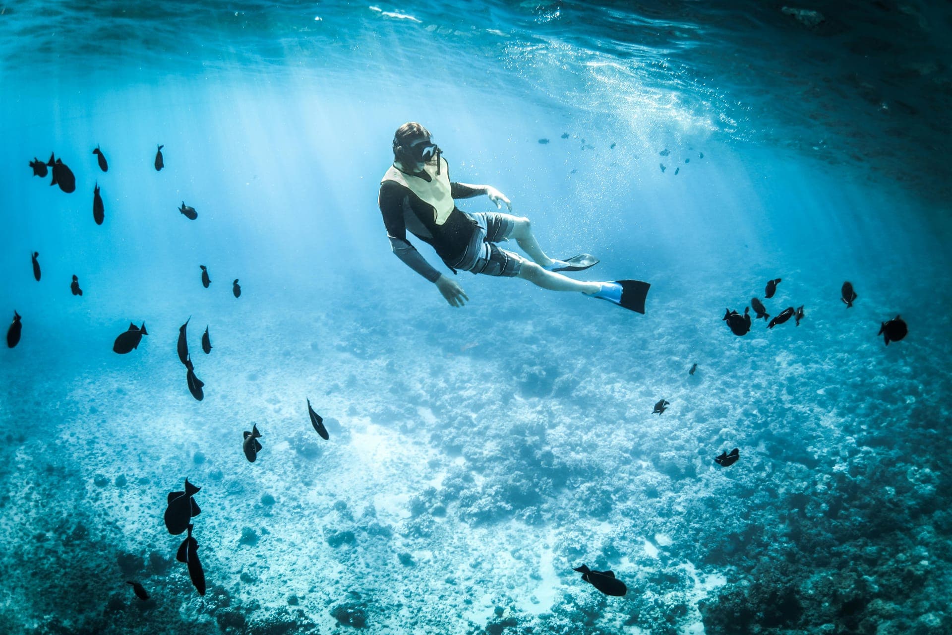Snorkeling Tour — Guided Underwater Adventure